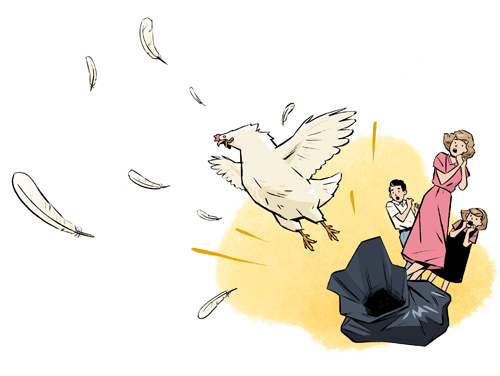 Illustration by Jori Bolton for Reader's Digest